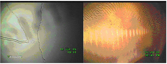 避免探頭CCD損傷的使用注意事項-超溫損傷示意圖 避免探頭CCD損傷的使用注意事項-超溫損傷示意圖