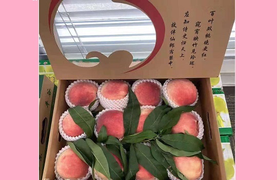 北京韋林公司為員工發放防暑降溫福利 北京韋林公司為員工發放防暑降溫福利